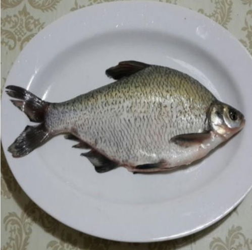 市場(chǎng)監(jiān)管總局通報(bào) 兩種水產(chǎn)品抽檢不合格，提醒消費(fèi)者注意購買安全