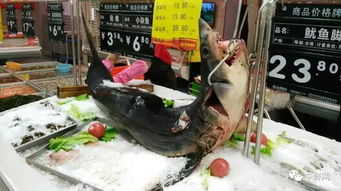 超實(shí)用的海鮮水產(chǎn)品陳列全攻略，讓魚蝦蟹成為超市吸金石