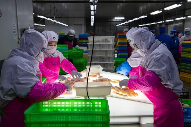 莊河市 百億規模水產產業集群的崛起之路